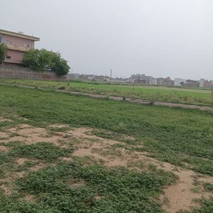Plot Area in  Plot at Sector 56 – for Sale