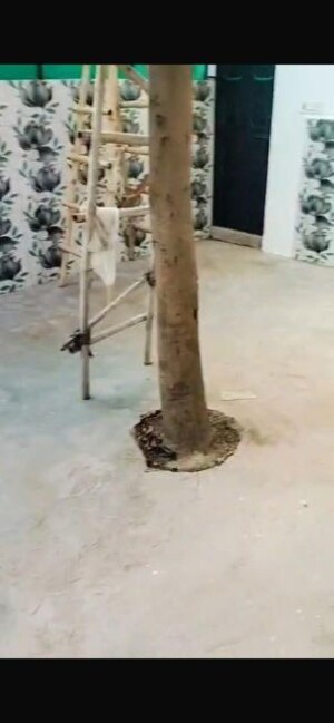 Staircase in 2 BHK Independent House at Omaxe NRI City Plots, Omega Ii Greater Noida – for Rent