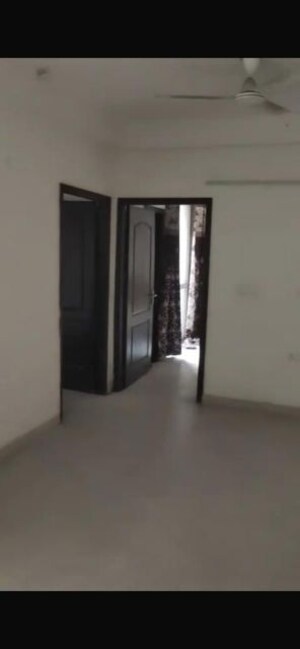 3 BHK Apartment For Rent in SDS NRI Residency Omega II, Omega Ii Greater Noida