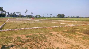  Plot For Sale in Bihta