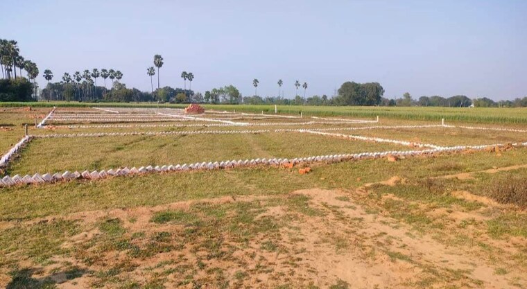 undefined, bihta  1200 Sq.Ft. Plot In Bihta Patna 10026724