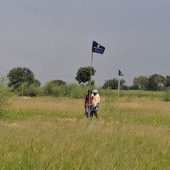 Plot For Sale in Dayalpur