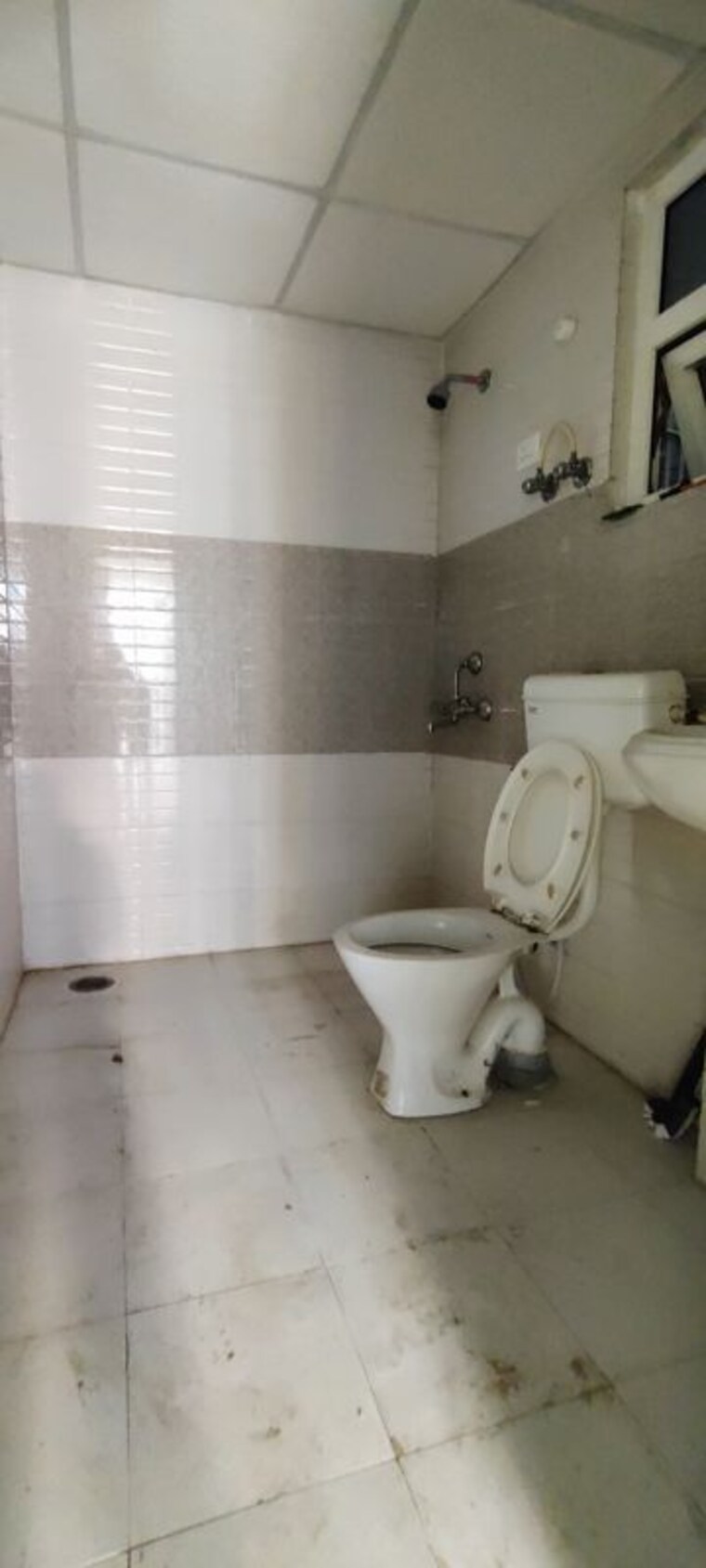 Bathroom, sector 102 2 Bedroom 581 Sq.Ft. Builder Floor In Sector 102 Gurgaon 10026532