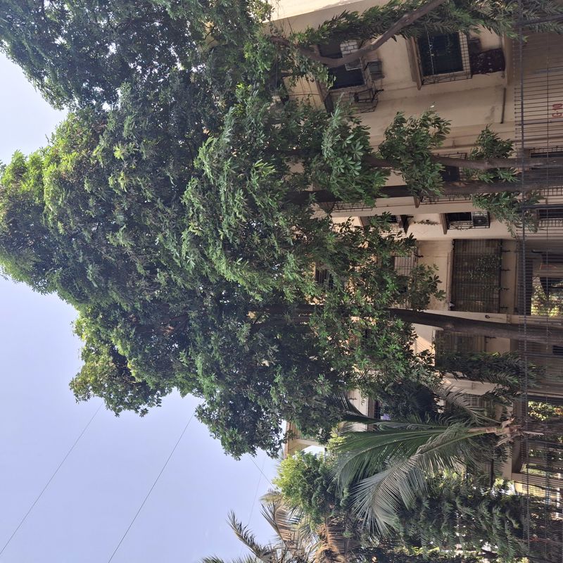 1 RkApartment For Rent in Gharonda Housing