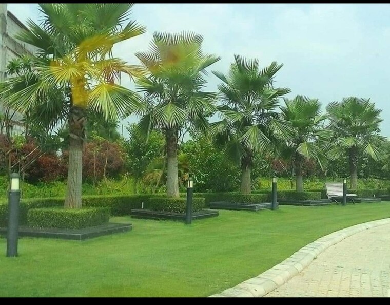 Garden, mullanpur  111 Sq.Yd. Plot In Mullanpur Chandigarh 10025118