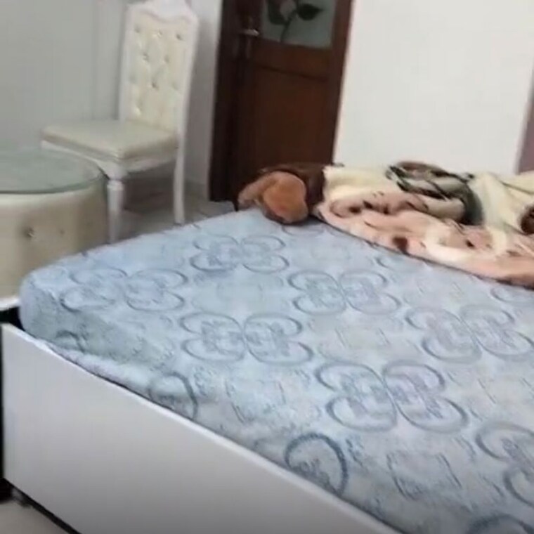 Bedroom, lajpat nagar i 2 Bedroom 900 Sq.Ft. Builder Floor In Lajpat Nagar I Delhi 10027425