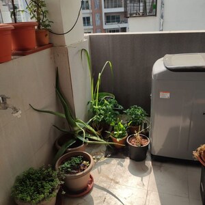 Balcony in 2 BHK Builder Floor at Madhapur – for Rent