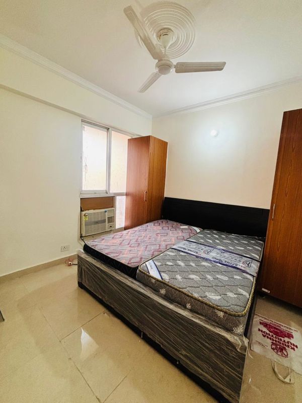2 BHK Apartment For Rent in Signature Global Prime