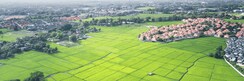 Plot For Sale in TDI City Kundli