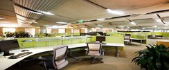 Office Space For Rent in Jaura Prime Boulevard