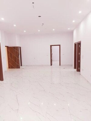 2 BHK Builder Floor For Rent in Dhavalgiri Apartment Sector 11, Sector 11