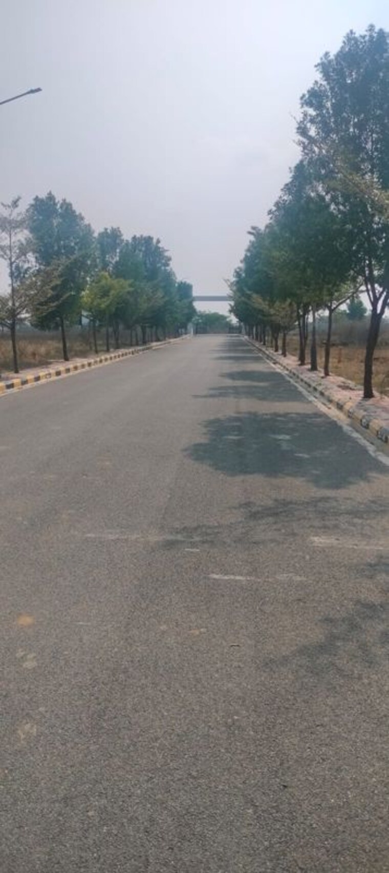 Exterior View, maheshwaram  220 Sq.Yd. Plot In Maheshwaram Hyderabad 10027823
