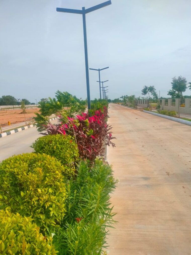 Exterior View, shadnagar  200 Sq.Yd. Plot In Shadnagar Hyderabad 10025310