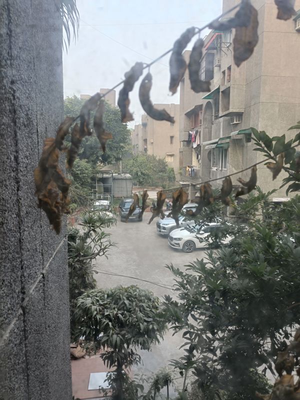 3 BHK + Pooja Room Apartment For Sale in Vasundhara Enclave