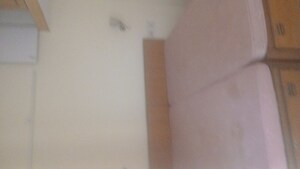 2 BHK Apartment For Rent in Telecom City, Sector 62