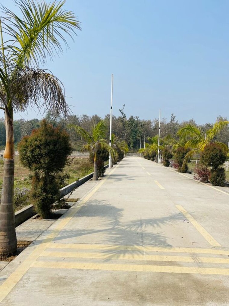 Garden, niranjanpur  123 Sq.Yd. Plot In Niranjanpur Dehradun 10028211