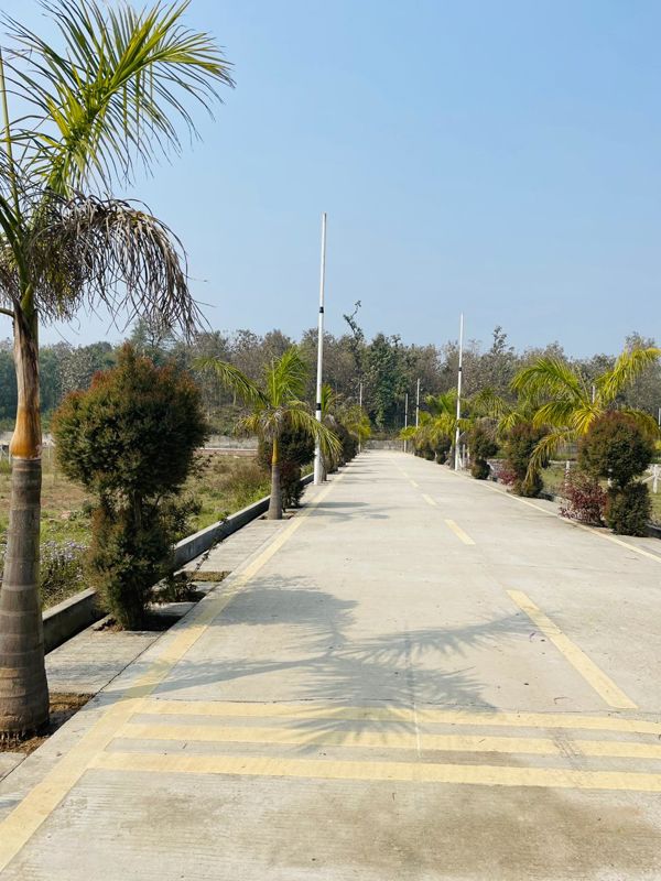 Plot For Sale in Niranjanpur