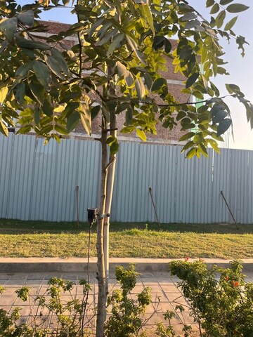  Plot – Garden View at Central Park Flower Valley Mikasa Plots, Sohna Sector 33 - for Sale