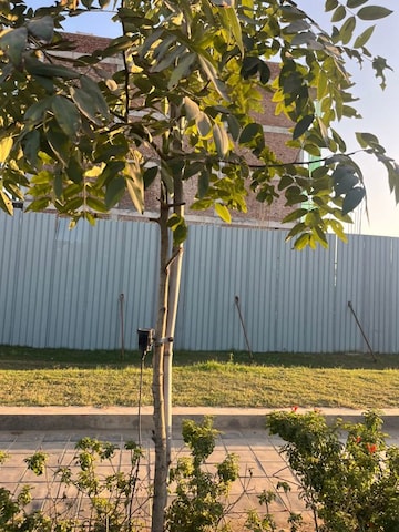  Plot – Garden View at Central Park Flower Valley Mikasa Plots, Sohna Sector 33 - for Sale