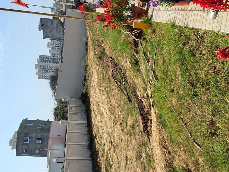 Garden, lion-green-valley-2  127 Sq.Yd. Plot In Sohna Sector 6 Gurgaon 10028455
