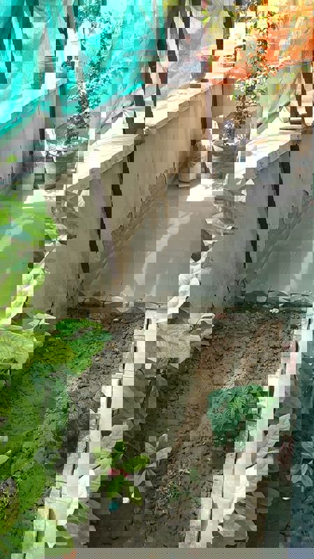 3 BHK + Pooja Room 180 Sq.Yd. Builder Floor in BPTP Park Elite Floors