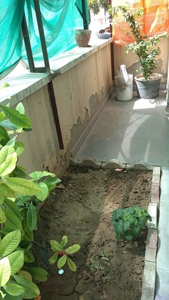 3 BHK + Pooja Room Builder Floor For Sale in BPTP Park Elite Floors