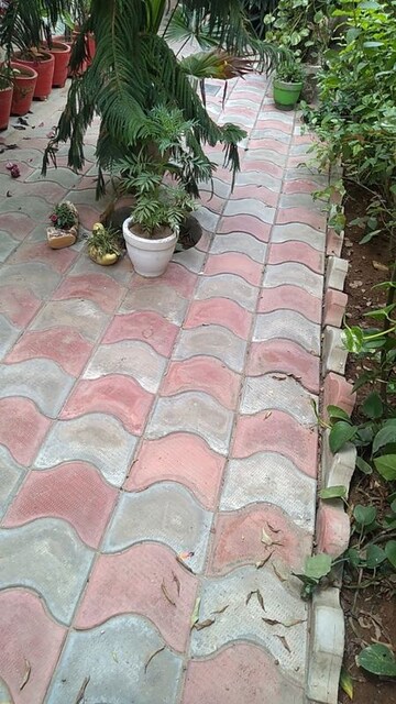 Parking in 3 BHK Builder Floor at BPTP Park Elite Floors, Sector 85 – for Sale