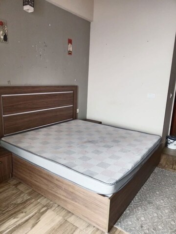 1 BHK Apartment For Rent in Paramount Golfforeste, Zeta I Greater Noida