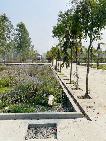  Plot – Exterior View View at Mohabbewala - for Sale