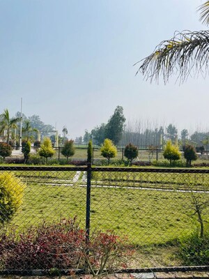  Plot – Garden View at Mohabbewala - for Sale