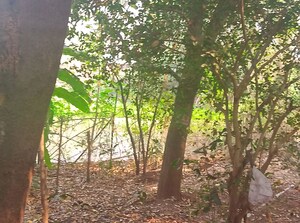  Plot – Garden View at Old Panvel - for Sale