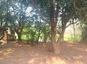  Land – Garden View at Dronagiri - for Sale