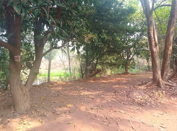  Land For Sale in Dronagiri