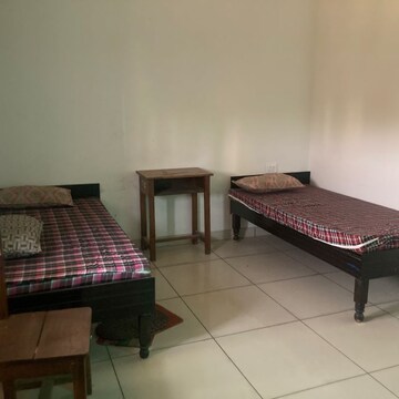  Pg For Rent in Sector 131