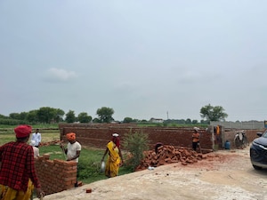 Plot Area in  Plot at Dafi – for Sale