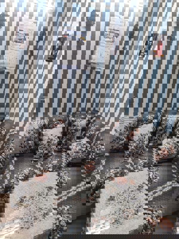 2 BHK + Pooja Room 1000 Sq.Ft. Apartment in Nimbus Express Park View