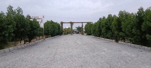 Plot Area in  Plot at Tumkur Road – for Sale