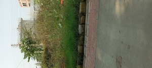  Plot For Sale in Ambala Highway