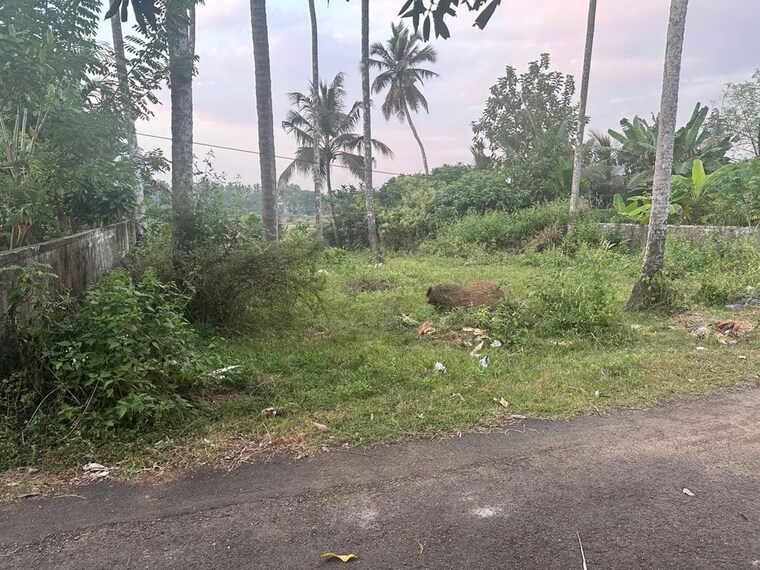undefined, chettupuzha  4356 Sq.Ft. Plot In Chettupuzha Thrissur 10031767