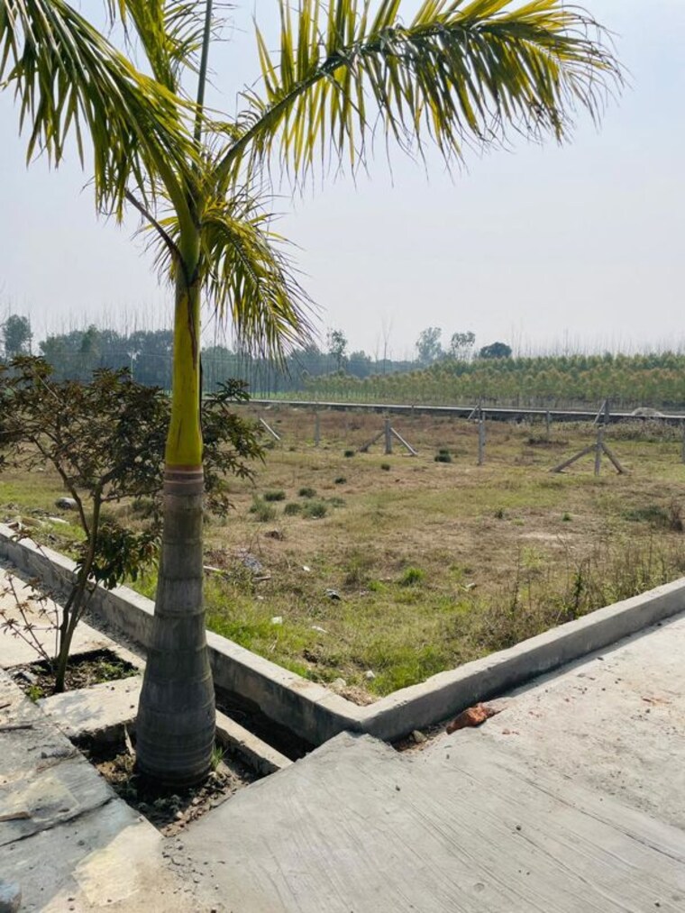 Garden, biharigarh  130 Sq.Yd. Plot In Biharigarh Dehradun 10032317