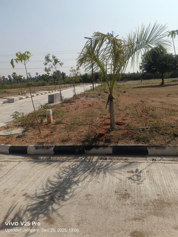 Plot For Sale in Chintapalli