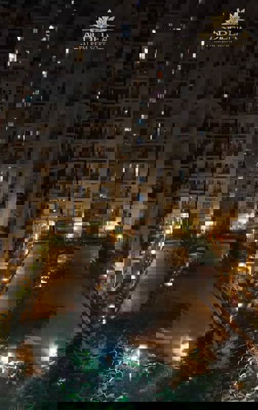 3 BHK + Basement 2370 Sq.Ft. Apartment in Addela The Legacy