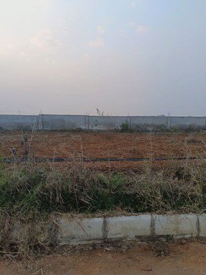 Plot Area in  Plot at Chintapalli – for Sale