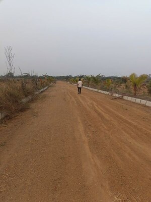  Plot For Sale in Chintapalli