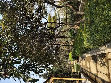 2 BHK Apartment For Sale in My Home Avatar, Gachibowli