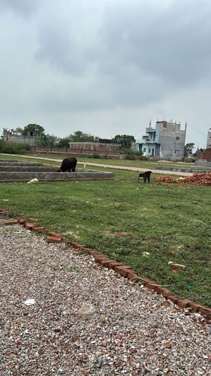  Plot For Sale in Sector 123