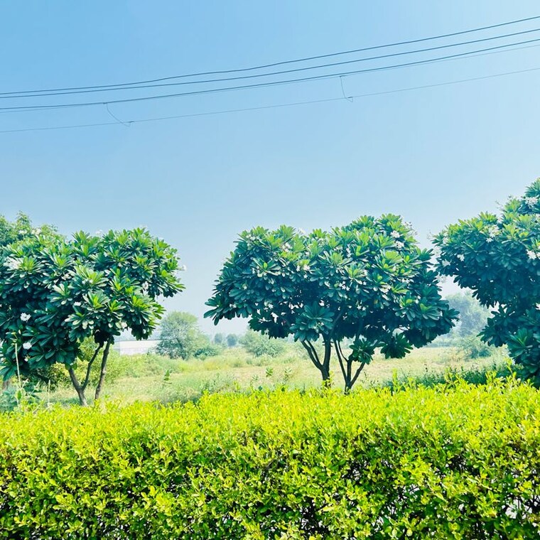 Garden, sector 27  1025 Sq.Ft. Plot In Sector 27 Sonipat 10033018