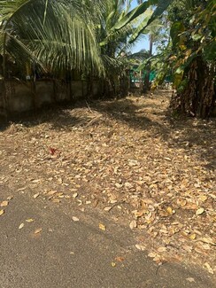 Plot For Sale in Viyyur