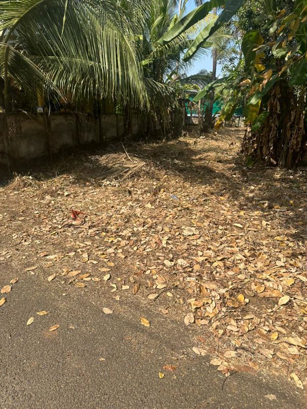 Plot For Sale in Viyyur