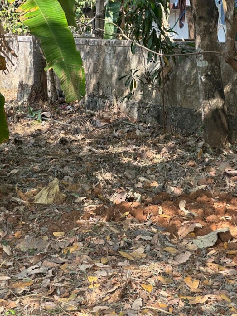 undefined, viyyur  3267 Sq.Ft. Plot In Viyyur Thrissur 10033391